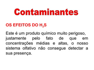 OS EFEITOS DO H2S
Este é um produto químico muito perigoso,
justamente pelo fato de que em
concentrações médias e altas, o nosso
sistema olfativo não consegue detectar a
sua presença.
 