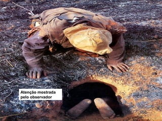 Atenção mostrada
pelo observador
 