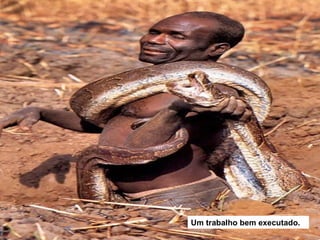 Um trabalho bem executado.
 