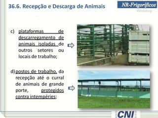 36.6. Recepção e Descarga de Animais
c) plataformas de
descarregamento de
animais isoladas de
outros setores ou
locais de trabalho;
d)postos de trabalho, da
recepção até o curral
de animais de grande
porte, protegidos
contra intempéries;
 