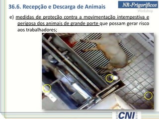 e) medidas de proteção contra a movimentação intempestiva e
perigosa dos animais de grande porte que possam gerar risco
aos trabalhadores;
36.6. Recepção e Descarga de Animais
 