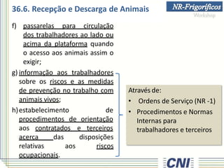 36.6. Recepção e Descarga de Animais
f) passarelas para circulação
dos trabalhadores ao lado ou
acima da plataforma quando
o acesso aos animais assim o
exigir;
g) informação aos trabalhadores
sobre os riscos e as medidas
de prevenção no trabalho com
animais vivos;
h)estabelecimento de
procedimentos de orientação
aos contratados e terceiros
aos
disposições
riscos
acerca das
relativas
ocupacionais.
Através de:
• Ordens de Serviço (NR -1)
• Procedimentos e Normas
Internas para
trabalhadores e terceiros
 