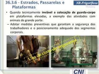 36.3.6 - Estrados, Passarelas e
Plataformas
• Quando tecnicamente inviável a colocação de guarda-corpo
em plataformas elevadas, a exemplo das atividades com
animais de grande porte:
– Adotar medidas preventivas que garantam a segurança dos
trabalhadores e o posicionamento adequado dos segmentos
corporais.
 