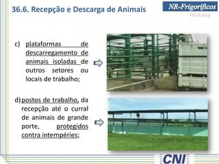 36.6. Recepção e Descarga de Animais
c) plataformas de
descarregamento de
animais isoladas de
outros setores ou
locais de trabalho;
d)postos de trabalho, da
recepção até o curral
de animais de grande
porte, protegidos
contra intempéries;
 
