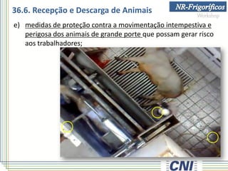 e) medidas de proteção contra a movimentação intempestiva e
perigosa dos animais de grande porte que possam gerar risco
aos trabalhadores;
36.6. Recepção e Descarga de Animais
 