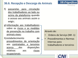 36.6. Recepção e Descarga de Animais
f) passarelas para circulação
dos trabalhadores ao lado ou
acima da plataforma quando
o acesso aos animais assim o
exigir;
g) informação aos trabalhadores
sobre os riscos e as medidas
de prevenção no trabalho com
animais vivos;
h)estabelecimento de
procedimentos de orientação
aos contratados e terceiros
acerca das disposições
relativas aos riscos
ocupacionais.
Através de:
• Ordens de Serviço (NR -1)
• Procedimentos e Normas
Internas para
trabalhadores e terceiros
 