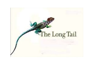 Nr7 the long tail