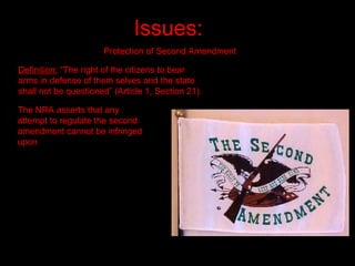 Protecting Second Amendment Rights NRA | PPT