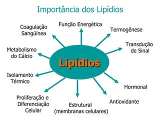 Importância dos Lipídios Lipídios Função Energética  Estrutural (membranas celulares) Coagulação Sangüínea Proliferação e  Diferenciação Celular Antioxidante Hormonal Transdução  de Sinal Termogênese Metabolismo do Cálcio Isolamento Térmico 