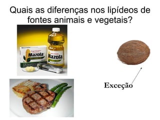 Quais as diferenças nos lipídeos de fontes animais e vegetais? Exceção 