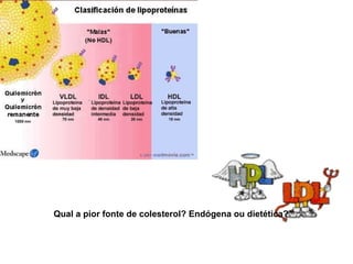 Qual a pior fonte de colesterol? Endógena ou dietética? 