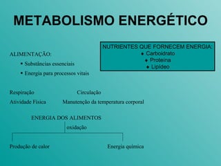METABOLISMO ENERGÉTICO NUTRIENTES QUE FORNECEM ENERGIA:    Carboidrato    Proteína    Lipídeo 