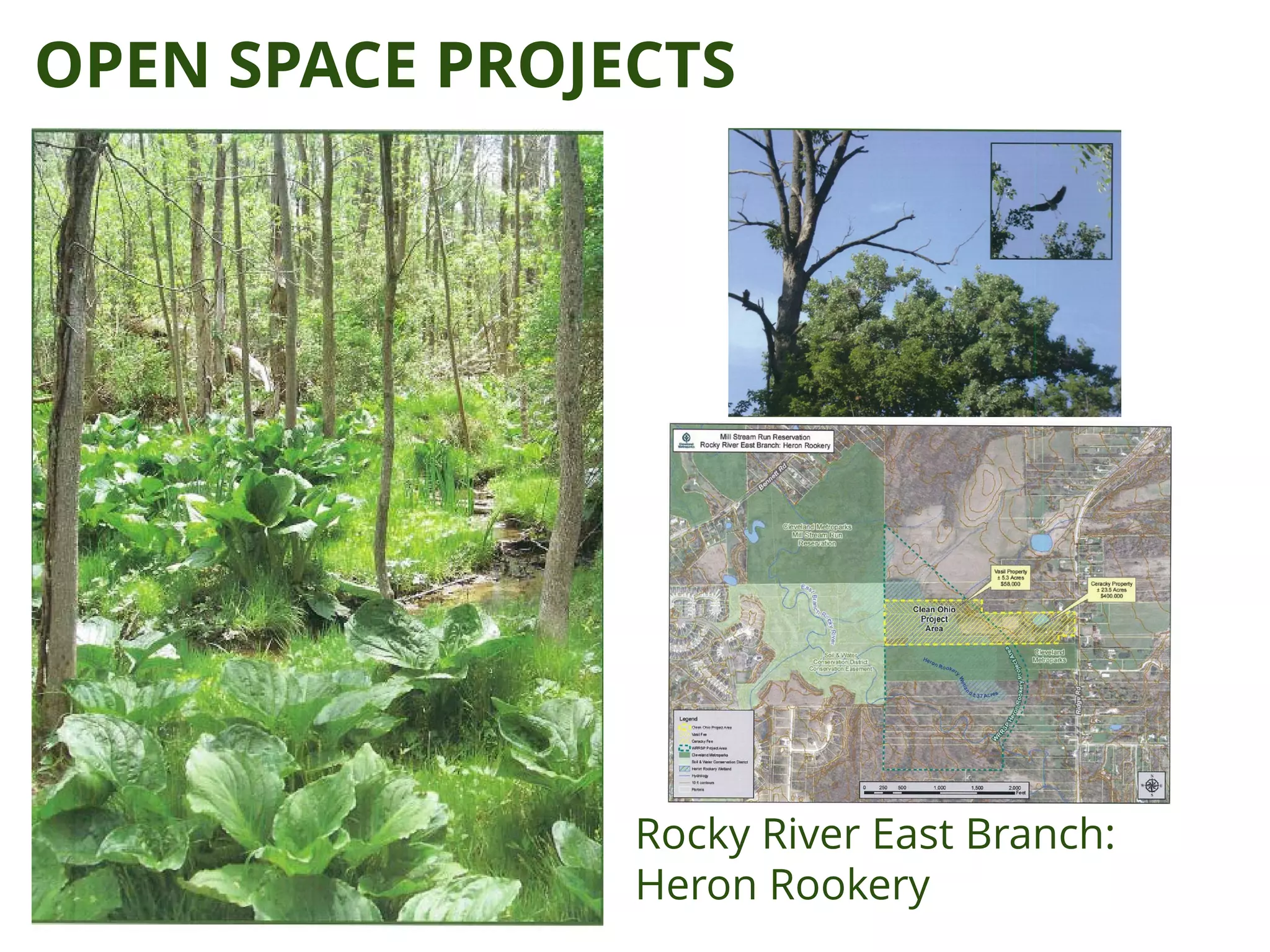 OPEN SPACE PROJECTS
Rocky River East Branch:
Heron Rookery
 