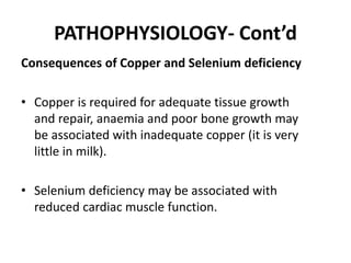 PATHOPHYSIOLOGY- Cont’d
Consequences of Copper and Selenium deficiency
• Copper is required for adequate tissue growth
and repair, anaemia and poor bone growth may
be associated with inadequate copper (it is very
little in milk).
• Selenium deficiency may be associated with
reduced cardiac muscle function.
 