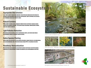 Natural corridor and Riparian Zone ECD Energy and Environment Canada Ltd. Native plant species – Bullrushes, Canadian Goldenrod, and Switchgrass Brownfield at mouth of the Keating Channel, Toronto, ON Sustainable Ecosystems Appropriate Site Selection Land that is already municipally serviced or has previously been built upon should be favoured for development over previously undeveloped areas to enhance local ecology and preserved ecologically sensitive areas. Natural Corridors When linked to natural areas, community green spaces can provide valuable wildlife habitat and migration pathways.  Site design should encourage interconnected natural areas and wildlife corridors. Light Pollution Reduction Minimizing outdoor lighting, without compromising safety, can significantly reduce environmental threats to nocturnal wildlife species. Native Species Planting Using plants that are native to a site reduces irrigation, lowers pesticide and fertilizer use, and cuts maintenance costs.  Site design should ensure 75% of plantings are native. Roadway Naturalization Roadway edges and easements can support plantings that provide habitat for natural corridors and can be designed to reflect topographical and environmental conditions. 