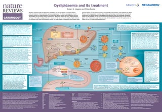 Dyslipidaemia and its treatment

REGENERON

Robert A. Hegele and Philip Barter

Supplement to Nature Publishing Group journals

Disorders of plasma lipid and lipoprotein metabolism are well recognized as causative factors
in the development of atherosclerotic cardiovascular disease. The rational management of such
disorders requires an understanding of the factors that regulate plasma lipid metabolism and how
abnormalities of such factors lead to dyslipidaemia. This poster displays the main lipid-metabolism
pathways in the body, including synthesis in tissues and the interaction and transfer of lipids between
the intestines, liver, blood, and peripheral tissues. The major classes of lipoproteins that transport lipids

Statins reduce the plasma LDL-cholesterol level by as much as
55%. These drugs inhibit HMG-CoA reductase, the rate-limiting
enzyme in cholesterol synthesis. The resulting reduction in
cellular cholesterol content leads to compensatory upregulation
of LDL receptors and increased uptake of LDL cholesterol by
cells. A meta-analysis of 26 clinical trials (n = 169,138) showed
that for every 1.0 mmol/l (40 mg/dl) reduction in LDL-cholesterol
level with a statin, the risk of a major cardiovascular event is
reduced by about one-fifth.3
ApoB antisense oligonucleotides reduce the levels of apoB,
LDL cholesterol, and non-HDL cholesterol by 25–30%. These
compounds are short, synthetic analogues of natural nucleic
acids that bind to mRNA, inhibit the synthesis of apoB and,
therefore, decrease the secretion of apoB-containing lipoproteins.
Whether apoB antisense oligonucleotides reduce the risk of
cardiovascular events has not been tested in clinical trials, but
one member of this class, mipomersen, has been approved by
the FDA as an orphan drug for patients with homozygous familial
hypercholesterolaemia.4

Fibrates

HMG-CoA
reductase

Statins

SR-B1

Cholesterol

Triglyceride

ApoB-containing lipoproteins
ApoB-100

ApoB antisense
oligonucleotides
PCSK9 inhibitors

Lysosome

Endosome

Endosome

ApoC-III

ApoC-II
ApoC-III

ApoC-II

LPL

LDLRAP1

Bile acids

LDL receptor

LDL

HDL
ApoA-I

Triglyceride
LCAT

ApoB-100

LDL

Pre-βHDL
ApoA-I

Chylomicron
SR-B1

ApoE

Cholesterol-absorption
inhibitors

LPL

Enterohepatic
circulation
Dietary NPC1L1
and biliary
Cholesterol
sterol
FATPs
Triglyceride
Dietary fat

Cholesterol
ester

Free
cholesterol

LDLRAP1 mutations
Autosomal-recessive
hypercholesterolaemia
LDL-cholesterol level
(603813, 605747)

ApoB-48

Extrahepatic
tissue

ABCA1
ABCG1

Plasma
space

Chylomicron
remnant

Duodenum

CETP
Cholesterol

LIPC

LRP1

Stomach

Cholesterol-absorption inhibitors, such as ezetimibe,
decrease the LDL-cholesterol level by about 18%, whether given
as monotherapy or in addition to treatment with a statin.
Ezetimibe reduces the absorption of cholesterol from the
intestine by inhibiting NPC1L1. Reduced delivery of cholesterol
to the liver increases hepatic LDL-receptor expression and,
therefore, increases clearance of circulating LDL cholesterol.
The use of ezetimibe to reduce the risk of cardiovascular events
is being tested in the ongoing IMPROVE-IT trial.6

IDL

ApoE

PCSK9

7α-hydroxylase

VLDL

CETP
inhibitors

ApoB-100
LDL-receptor
recycling

Fibrates reduce the plasma triglyceride level by 30–50% and
increase the HDL-cholesterol level by 2–20%, but have little
effect on the LDL-cholesterol level. Fibrates activate
peroxisome proliferator-activated receptor α, which stimulates
the oxidation of free fatty acids in the liver, diverting them
from triglyceride synthesis; induces expression of lipoprotein
lipase, the enzyme responsible for hydrolysing plasma
triglyceride; and inhibits synthesis of apoC-III, a protein that
delays the catabolism of triglyceride-rich lipoproteins. The
elevation in the HDL-cholesterol level might be caused by
increased expression of the APOA1, APOA2, and ABCA1 genes.
The results of trials involving fibrates have been variable,
although fibrates have consistently produced a substantial
reduction in the rate of cardiovascular events in individuals
with hypertriglyceridaemia and a low HDL-cholesterol level.9

ApoE

VLDL

MTP

ApoB-100

ApoB-100

ApoE

PCSK9 inhibitors decrease the LDL-cholesterol level by
40–70% when given either as monotherapy or in addition to a
statin. PCSK9 binds to the LDL receptor and enhances its
breakdown in lysosomes, reducing receptor recycling back to the
surface. Therefore, inhibition of PCSK9 with, for example,
monoclonal antibodies increases the expression of the LDL
receptor, which results in an increased uptake of LDL cholesterol
into cells, primarily hepatocytes. PCSK9 is upregulated by
statins, an effect that limits the LDL-cholesterol-lowering
potential of these agents, which makes PCSK9 inhibition a
rational adjunctive therapy to statins. Clinical trials to test the
effects of PCSK9 monoclonal antibodies on cardiovascular
events are ongoing.5

MTP inhibitors decrease the levels of apoB, and of VLDL and LDL cholesterol. Inhibition of
MTP decreases the assembly of VLDL in the liver and, therefore, decreases the level of all
apoB-containing lipoproteins. Whether MTP inhibitors reduce the rate of cardiovascular events
has not been tested in clinical trials, but the MTP inhibitor lomitapide has been approved by
the FDA for patients with homozygous familial hypercholesterolaemia.8

MTP
inhibitors

Liver

Acetate

in blood plasma, and the factors involved in their assembly, interconversion, and catabolism are shown.
Points at which monogenetic mutations affect protein concentration, function, and that lead (often in
combination with lifestyle factors) to dyslipidaemia are identified. With this knowledge, therapeutic
targets can be identified, and we can understand how existing lipid-modifying drugs as well as novel
agents under development target these pathways, with the potential to correct the dyslipidaemia and
reduce the risk of a major cardiovascular event.1,2

Cholesterol pool
LDLRAP1

MTP

ApoB-48
ApoC-III

Jejunum

Nucleus

ApoC-II
PCSK9

ApoA-V

Endosome

ApoB-48
Niacin decreases the plasma levels of triglyceride,
LDL cholesterol, and proatherogenic lipoprotein(a)
by 30–40%, 10–15%, and up to 30%, respectively,
and increases the HDL-cholesterol level by 15–30%.
The mechanism of action of niacin is not certain, but
involves inhibition of adipose tissue lipolysis and
hepatic triglyceride synthesis. As monotherapy,
niacin reduces the rate of cardiovascular events.
In combination with a statin, niacin promotes
regression of atherosclerosis. However, in clinical
trials involving patients optimally treated with statins,
niacin did not reduce the rate of cardiovascular
events. The future role of niacin is uncertain.7

APOB ligand-binding
mutations
Familial defective apoB
LDL-cholesterol level
(144010, 107730)
APOB structural mutations
Hypobetalipoproteinaemia
Levels of ApoB-containing
lipoproteins
(107730)

Regeneron is a leading science-based biopharmaceutical company based in Tarrytown,
New York, USA, that discovers, invents, develops, manufactures, and commercializes medicines
for the treatment of serious medical conditions. Regeneron markets medicines for eye
diseases, colorectal cancer, and a rare inflammatory condition, and has product candidates in
development in other areas of high unmet medical need, including hypercholesterolaemia,
oncology, rheumatoid arthritis, allergic asthma, and atopic dermatitis.

Sanofi, an integrated global health-care leader, discovers, develops, and distributes therapeutic
solutions focused on patients’ needs. Sanofi has core strengths in the field of health care with
seven growth platforms: diabetes mellitus solutions, human vaccines, innovative drugs,
consumer health care, emerging markets, animal health, and the new Genzyme.
Since 2007, the Regeneron and Sanofi collaboration has been at the forefront of developing
innovative new therapies that seek to address current unmet medical needs. The
collaboration brings forth the best of both companies—technology, scientific expertise,
commercial experience, and a focus on patient needs.

MTTP mutations
Abetalipoproteinaemia
Levels of ApoB-containing
lipoproteins (200100, 157147)
IBAT

PCSK9 gain-of-function mutations
Autosomal-dominant hypercholesterolaemia
LDL-cholesterol level (603776, 607786)
PCSK9 loss-of-function mutations
PCSK9 deficiency
LDL-cholesterol level (607786)

LDLR mutations
Familial hypercholesterolaemia
LDL-cholesterol level
(143890, 606945)

CETP inhibitors increase the
HDL-cholesterol level by up to
140%, decrease the
LDL-cholesterol level by up to
35%, and lower the
lipoprotein(a) level by >30%.
CETP transfers cholesteryl
esters from the HDL fraction,
where it does not cause
atherosclerosis, to the VLDL
and LDL fractions, where it can
cause atherosclerosis;
inhibiting CETP is, therefore,
potentially antiatherogenic.
However, in a large, randomized
trial, dalcetrapib had no effect
on cardiovascular outcomes
and, in another study,
torcetrapib was associated
with a significant 25%
increase in major
cardiovascular events, and a
58% increase in mortality.
Large clinical trials are being
conducted with anacetrapib
and evacetrapib, which do not
share the adverse effects of
torcetrapib.10

Bile acids

Terminal ileum

Bile-acid-sequestering resins reduce the LDL-cholesterol level by about 20%. Resins bind bile acids in the intestine and disrupt their enterohepatic
circulation. The liver is stimulated to divert cholesterol into bile-acid synthesis, a process that reduces the cellular content of cholesterol, which
leads to a compensatory upregulation of LDL receptors. In 1984, use of the bile-acid-sequestering agent cholestyramine was shown to reduce the
LDL-cholesterol level and the risk of cardiovascular events. However, these agents have largely been superseded by newer drugs.6

Bile-acid-sequestering resins

Abbreviations
ABCA1	
ATP-binding cassette sub-family A member 1
ABCG1	
ATP-binding cassette sub-family G member 1
Apo	apolipoprotein
CETP	
cholesteryl ester transfer protein
FATPs	
fatty acid transport proteins
HDL	
high-density lipoprotein
HMG-CoA	
3-hydroxy-3-methylglutaryl-coenzyme A
IBAT	
ileal sodium/bile acid cotransporter
IDL	
intermediate-density lipoprotein
LCAT	
phosphatidylcholine-sterol acyltransferase
LDL	
low-density lipoprotein
LDLRAP1	
low-density lipoprotein receptor adapter protein 1
LIPC	
hepatic triacylglyercerol lipase
LPL	
lipoprotein lipase
LRP1	
low-density lipoprotein receptor-related protein 1
MTP	
microsomal triglyceride transfer protein

NPC1L1	
PCSK9	
SR-B1	
VLDL	

Niemann–Pick C1-like protein 1
proprotein convertase subtilisin/kexin type 9
scavenger receptor class B member 1
very-low-density lipoprotein

Information on monogenic dyslipidaemias is formatted:
Gene name | Clinical disorder
Primary biochemical disturbance (OMIM® reference)

References
1.	
	
2.	
	
3.	
	
	

Gotto, A. M. Jr & Moon, J. E. Pharmacotherapies for lipid modification: 		
beyond the statins. Nat. Rev. Cardiol. 10, 560–570 (2013).
Watts, G. F., Ooi, E. M. M. & Chan, D. C. Demystifying the management 		
of hypertriglyceridaemia. Nat. Rev. Cardiol. 10, 648–661 (2013).
Cholesterol Treatment Trialists’ Collaboration. Efficacy and safety of more 	
intensive lowering of LDL cholesterol: a meta-analysis of data from 170,000	
participants in 26 randomised trials. Lancet 376, 1670–1681 (2010).

4.	 Marais, A. D. & Blomm, D. J. Recent advances in the treatment 			
	
of 	homozygous familial hypercholesterolaemia. Curr. Opin. Lipidol. 		
	
24, 288–294 (2013).
5.	 Petrides, F. et al. The promises of PCSK9 inhibition. Curr. Opin. Lipidol. 		
	
24, 307–312 (2013).
6.	 Couture, P. & Lamarche, B. Ezetimibe and bile acid sequestrants: impact 		
	
on lipoprotein metabolism and beyond. Curr. Opin. Lipidol. 24, 227–232 		
	(2013).
7.	 Lavigne, P. M. & Karas, R. H. The current state of niacin in cardiovascular 		
	
disease prevention: a systematic review and meta-regression. J. Am. Coll. 		
	Cardiol. 61, 440–446 (2013).
8.	 Cuchel, M. & Rader, D. J. Microsomal transfer protein inhibition in humans. 	
	
Curr. Opin. Lipidol. 24, 246–250 (2013).
9.	 Jun, M. et al. Effects of fibrates on cardiovascular outcomes: a systematic 	
	
review and meta-analysis. Lancet 375, 1875–1884 (2010).
10.	 Barter, P. J. & Rye, K. A. Cholesteryl ester transfer protein inhibition as a 		
	
strategy to reduce cardiovascular risk. J. Lipid Res. 53, 1755–1766 (2012).

Affiliations and competing interests
Blackburn Cardiovascular Genetics Laboratory, Robarts Research Institute,
100 Perth Drive, London, ON N6A 5K8, Canada (R. A. Hegele).
Centre for Vascular Research, Department of Medicine, University of New South
Wales, High Street, Kensington, Sydney, NSW 2052, Australia (P. Barter).
R. A. Hegele declares that he has received research support from Amgen and
Merck; and received honoraria from, and is an advisory board member for,
Aegerion, Amgen, Genzyme, Merck, and Valeant. P. Barter declares that he has
received research support from Merck and Pfizer; honoraria from Amgen,
AstraZeneca, Kowa, MSD, Novartis, Pfizer, and Roche; and is an advisory board
member for AstraZeneca, CSL, Kowa, Lilly, Merck, Pfizer, and Roche.
Edited by Gregory B. S. Lim; designed by Laura Marshall.
The poster content is peer-reviewed and editorially independent.
© 2013 Nature Publishing Group.
http://www.nature.com/nrcardio/posters/dyslipidaemia/

 