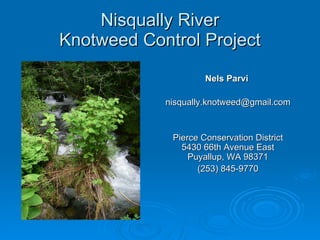 Nisqually River Knotweed Control Project Nels Parvi  [email_address] Pierce Conservation District 5430 66th Avenue East Puyallup, WA 98371 (253) 845-9770 