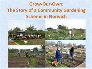 Grow-Our-Own: The Story of a Community Gardening Scheme in Norwich 