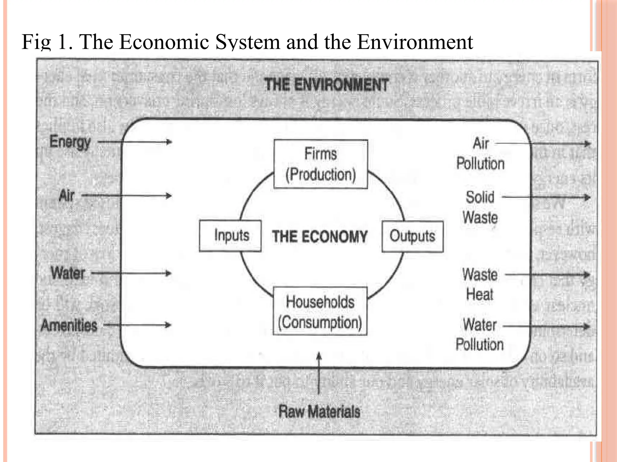 16
Fig 1. The Economic System and the Environment
 