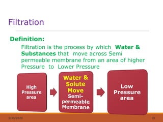 Filtration
Definition:
Filtration is the process by which Water &
Substances that move across Semi
permeable membrane from an area of higher
Pressure to Lower Pressure
3/30/2020 10
 