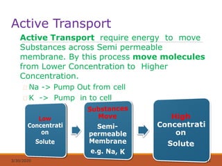 Active Transport
Active Transport require energy to move
Substances across Semi permeable
membrane. By this process move molecules
from Lower Concentration to Higher
Concentration.
Na -> Pump Out from cell
K -> Pump in to cell
3/30/2020 11
 