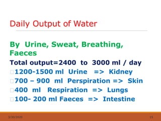 Daily Output of Water
3/30/2020 15
By Urine, Sweat, Breathing,
Faeces
Total output=2400 to 3000 ml / day
1200-1500 ml Urine => Kidney
700 – 900 ml Perspiration => Skin
400 ml Respiration => Lungs
100- 200 ml Faeces => Intestine
 
