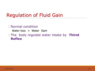 Regulation of Fluid Gain
3/30/2020 16
Normal condition
Water loss = Water Gain
The body regulate water intake by Thirst
Reflex
 