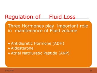 Regulation of Fluid Loss
Three Hormones play important role
in maintenance of Fluid volume
• Antidiuretic Hormone (ADH)
• Aldosterone
• Atrial Natriuretic Peptide (ANP)
3/30/2020 18
 