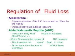 Regulation of Fluid Loss
3/30/2020 20
Aldosterone :
Increase retention of Na & Cl ions as well as Water by
the Kidney
Increase body Fluid & Blood Pressure
Atrial Natriuretic Peptide (ANP):
Increase in body Fluid results in increases
Blood Volume =>
-Which Stimulates the release of ANP Hormone
- That increases the loss of Fluid in Urine
- At the same time the level of ADH & Renin
Decreases
 