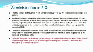 Administration of RIG:
■ The RIG should be brought to room temperature (25°C to 30°C) before administeringto the
patient.
■ RIG is administered only once, preferably at or as soon as possible after initiation of post-
exposure vaccination. It is not indicated beyond the seventh day after the first dose of rabies
vaccine, regardlessof whether the doses were received on days 3 and 7, becausean active
antibody response to the rabies vaccine has already started, and this would represent a
wastage of RIG.
■ The entire immunoglobulin dose, or as much as anatomically possible(butavoiding possible
compartment syndrome), should be infiltrated carefully into or as close as possible to the
wound(s) or exposuresites.
■ Evidence suggests that injecting the remaining RIG volume intramuscularly at a distance from
the wound provides little or no additional protection against rabies as compared with
infiltration of the wound(s) alone.
 
