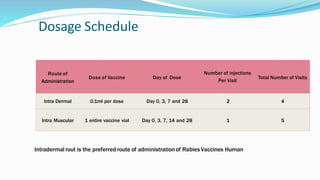 Dosage Schedule
Route of
Administration
Dose of Vaccine Day of Dose
Number of injections
Per Visit
Total Number of Visits
Intra Dermal 0.1ml per dose Day 0, 3, 7 and 28 2 4
Intra Muscular 1 entire vaccine vial Day 0, 3, 7, 14 and 28 1 5
Intradermal rout is the preferred route of administrationof Rabies Vaccines Human
 