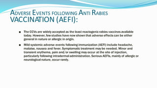 ADVERSE EVENTS FOLLOWING ANTI RABIES
VACCINATION (AEFI):
■ The CCVs are widely accepted as the least reactogenic rabies vaccines available
today. However, few studies have now shown that adverse effects can be either
general in nature or allergic in origin.
■ Mild systemic adverse events following immunization (AEFI) include headache,
malaise, nausea and fever. Symptomatic treatment may be needed. Minor and
transient erythema, pain and/or swelling may occur at the site of injection,
particularly following intradermal administration. Serious AEFIs, mainly of allergic or
neurological nature, occur rarely.
 