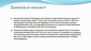 DURATION OF IMMUNITY
■ Clinical data confirm that people vaccinated by modern Rabies Vaccine respond to
booster immunization within 7 days, even if the initial course of PrEP or PEP was
administered a decade back and regardless of the route of priming or booster
immunization (IM or ID), and regardless of presence or absence of detectabletitres
of RABV-specific antibodies at the time of the booster.
■ Humoral antibodies play an important role in protection against rabies. Anti-rabies
neutralizing antibody titre of 0.5 IU/ml or more in serum is considered as adequate
seroconversion post-vaccination.This level is achieved in most healthy individualsby
day 14 of a PEP regimen, with or without simultaneous administration of Rabies
immunoglobulin.
 