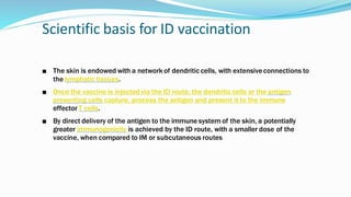 Scientific basis for ID vaccination
■ The skin is endowed with a network of dendritic cells, with extensiveconnections to
the lymphatic tissues.
■ Once the vaccine is injectedvia the ID route, the dendritic cells or the antigen
presenting cells capture, process the antigen and present it to the immune
effector T cells.
■ By direct delivery of the antigen to the immune system of the skin, a potentially
greater immunogenicity is achieved by the ID route, with a smaller dose of the
vaccine, when compared to IM or subcutaneous routes
 
