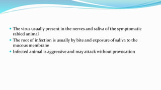  The virus usually present in the nerves and saliva of the symptomatic
rabied animal
 The root of infection is usually by bite and exposure of saliva to the
mucous membrane
 Infected animal is aggressive and may attack without provocation
 
