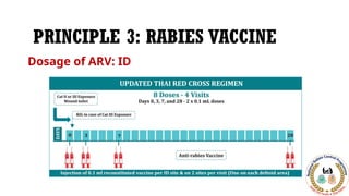 Rabies,NRCP, Rabies Guidline - Dr Himanshu Kaushik.pptx
