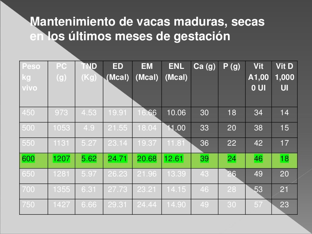 Sage 2024 Requerimientos Nutricionales Corry Sage 2024 Requerimientos Nutricionales Corry
