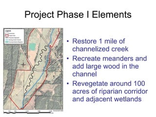 Project Phase I Elements Restore 1 mile of channelized creek  Recreate meanders and add large wood in the channel Revegetate around 100 acres of riparian corridor and adjacent wetlands 
