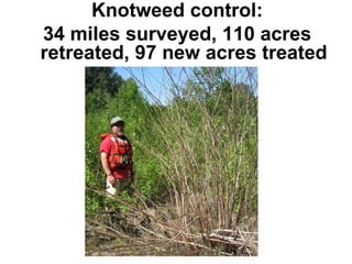 Knotweed control: 34 miles surveyed, 110 acres retreated, 97 new acres treated 