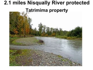 2.1 miles Nisqually River protected Tatrimima property 