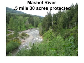 Mashel River  .5 mile 30 acres protected 
