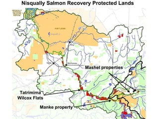 Nisqually Salmon Recovery Protected Lands Tatrimima Wilcox Flats Manke property Mashel properties 
