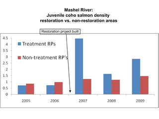 Mashel River: Juvenile coho salmon density  restoration vs. non-restoration areas Restoration project built 