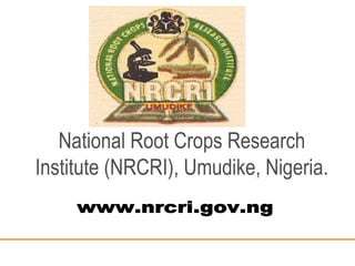 National Root Crops Research
Institute (NRCRI), Umudike, Nigeria.
 