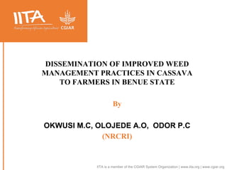 IITA is a member of the CGIAR System Organization | www.iita.org | www.cgiar.org
DISSEMINATION OF IMPROVED WEED
MANAGEMENT PRACTICES IN CASSAVA
TO FARMERS IN BENUE STATE
By
OKWUSI M.C, OLOJEDE A.O, ODOR P.C
(NRCRI)
 