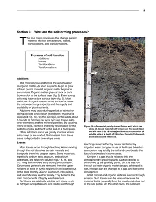 11
T
he four major processes that change parent
material into soil are additions, losses,
translocations, and transformations.
Section 3:  What are the soil-forming processes?
Additions
The most obvious addition is the accumulation
of organic matter. As soon as plants begin to grow
in fresh parent material, organic matter begins to
accumulate. Organic matter gives a black or dark
brown color to the surface layer (fig. 6). Even young
soils may have a dark surface layer (fig. 3). Most
additions of organic matter to the surface increase
the cation-exchange capacity and the supply and
availability of plant nutrients.
Additions may occur during periods of rainfall or
during periods when eolian (windblown) material is
deposited (fig. 13). On the average, rainfall adds about
5 pounds of nitrogen per acre per year. It also adds
other elements and fine mineral particles. By causing
rivers to flood, rainfall is indirectly responsible for the
addition of new sediment to the soil on a flood plain.
Other additions occur via gravity in areas where
soils creep or are eroded. Soil material from these
areas is deposited in downslope areas.
Losses
Most losses occur through leaching. Water moving
through the soil dissolves certain minerals and
transports them into deeper layers. Some materials,
especially sodium salts, gypsum, and calcium
carbonate, are relatively soluble (figs. 14, 15, and
16). They are removed early during soil formation.
Carbonates generally are removed from the upper
horizons of soils in humid regions or are leached out
of the soils entirely. Quartz, aluminum, iron oxides,
and kaolinitic clay weather slowly. They become the
main components of highly weathered soil.
Fertilizers are relatively soluble, and many, such
as nitrogen and potassium, are readily lost through
Processes of soil formation
Additions
Losses
Translocations
Transformations
leaching caused either by natural rainfall or by
irrigation water. Long-term use of fertilizers based on
ammonium may acidify the soil and contribute to the
loss of carbonates in some areas.
Oxygen is a gas that is released into the
atmosphere by growing plants. Carbon dioxide is
consumed by the growing plants, but it is lost from
the soil as fresh organic matter decays. When soil is
wet, nitrogen can be changed to a gas and lost to the
atmosphere.
Solid mineral and organic particles are lost through
erosion. Such losses can be serious because the
material lost is generally from the most productive part
of the soil profile. On the other hand, the sediment
Figure 16.—Somewhat poorly drained Salmo soil, which has
strata of alluvial material with textures of fine sandy loam
and silt loam (0 to 18 inches) and has an accumulation of
soluble salts at a depth of 24 inches. Cumulic Endoaquoll.
South Dakota and Nebraska.
 