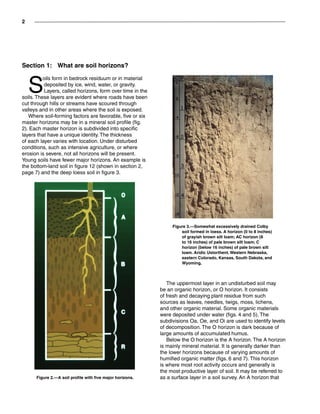 Section 1:  What are soil horizons?
S
oils form in bedrock residuum or in material
deposited by ice, wind, water, or gravity.
Layers, called horizons, form over time in the
soils. These layers are evident where roads have been
cut through hills or streams have scoured through
valleys and in other areas where the soil is exposed.
Where soil-forming factors are favorable, five or six
master horizons may be in a mineral soil profile (fig.
2). Each master horizon is subdivided into specific
layers that have a unique identity. The thickness
of each layer varies with location. Under disturbed
conditions, such as intensive agriculture, or where
erosion is severe, not all horizons will be present.
Young soils have fewer major horizons. An example is
the bottom-land soil in figure 12 (shown in section 2,
page 7) and the deep loess soil in figure 3.
The uppermost layer in an undisturbed soil may
be an organic horizon, or O horizon. It consists
of fresh and decaying plant residue from such
sources as leaves, needles, twigs, moss, lichens,
and other organic material. Some organic materials
were deposited under water (figs. 4 and 5). The
subdivisions Oa, Oe, and Oi are used to identify levels
of decomposition. The O horizon is dark because of
large amounts of accumulated humus.
Below the O horizon is the A horizon. The A horizon
is mainly mineral material. It is generally darker than
the lower horizons because of varying amounts of
humified organic matter (figs. 6 and 7). This horizon
is where most root activity occurs and generally is
the most productive layer of soil. It may be referred to
as a surface layer in a soil survey. An A horizon thatFigure 2.—A soil profile with five major horizons.
Figure 3.—Somewhat excessively drained Colby
soil formed in loess. A horizon (0 to 8 inches)
of grayish brown silt loam; AC horizon (8
to 16 inches) of pale brown silt loam; C
horizon (below 16 inches) of pale brown silt
loam. Aridic Ustorthent. Western Nebraska,
eastern Colorado, Kansas, South Dakota, and
Wyoming.
 