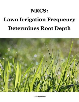 Utah Sprinkler
NRCS:
Lawn Irrigation Frequency
Determines Root Depth
 