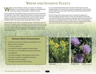 Noxious Example Living Landscapes in South Dakota: A Guide to Native Plantscaping | PDF