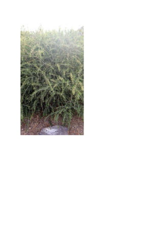 Excursión a rodalquilar